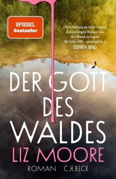 Buchempfehlungen Liz Moore Der Gott des Waldes Amazon