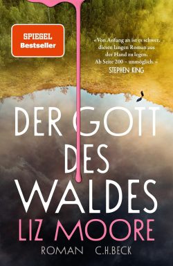 Buchempfehlungen Liz Moore Der Gott des Waldes Amazon
